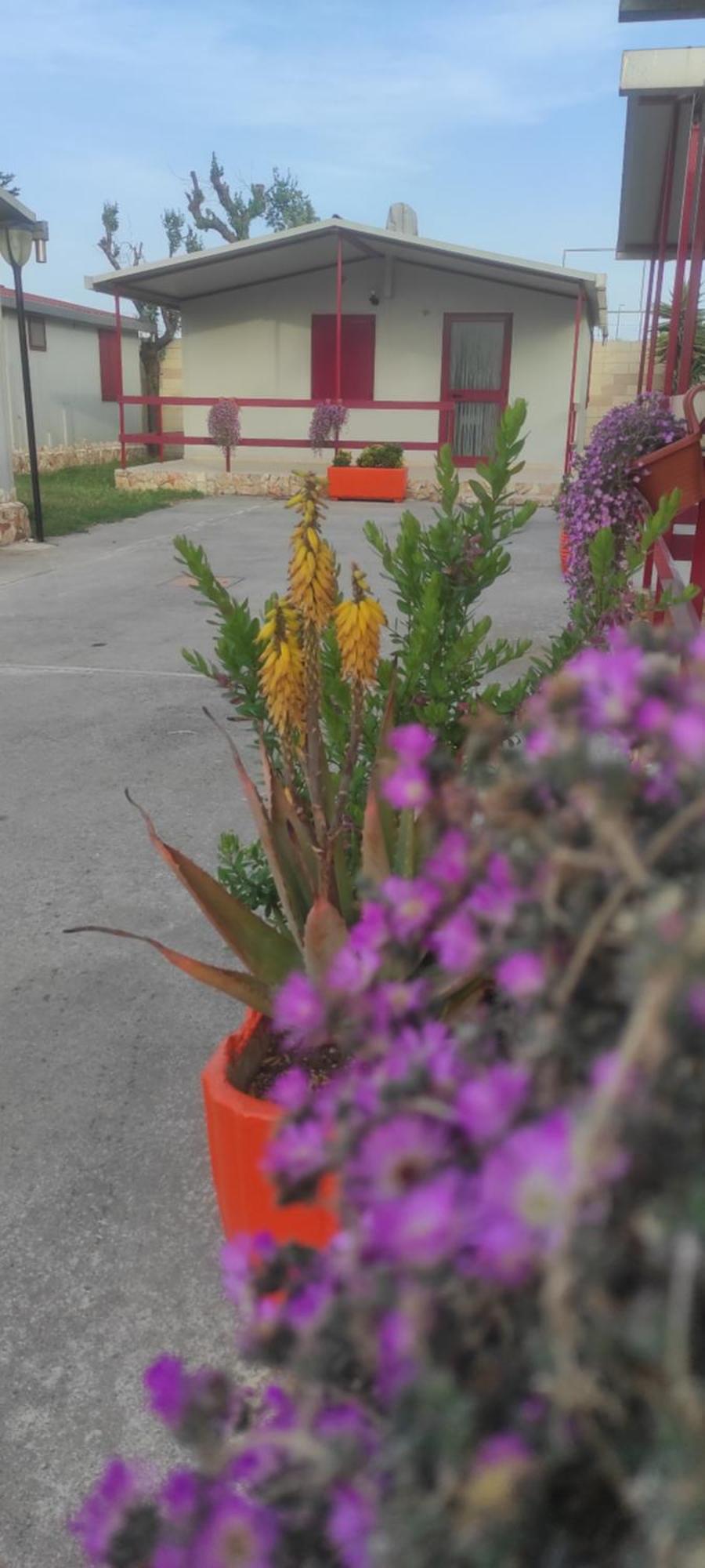 Villaggio Albergo Cervo Запонета Екстериор снимка